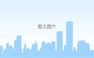 多链路手机伴侣